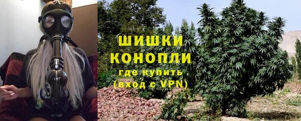 стаф Богородск