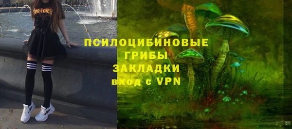 ешки Богданович