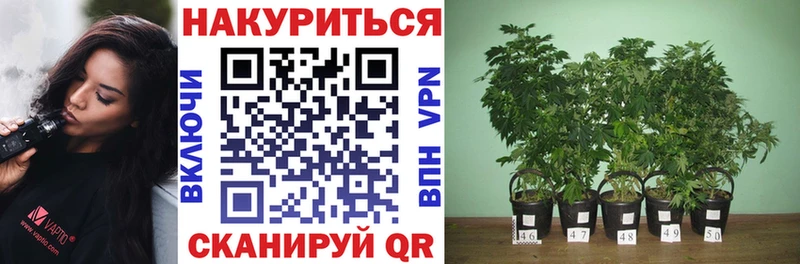 mega ссылки  Краснозаводск  МАРИХУАНА LSD WEED 
